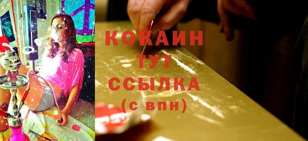 стафф Ростов